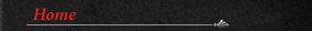 Home page link
