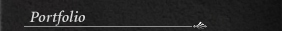 Portfolio Page link